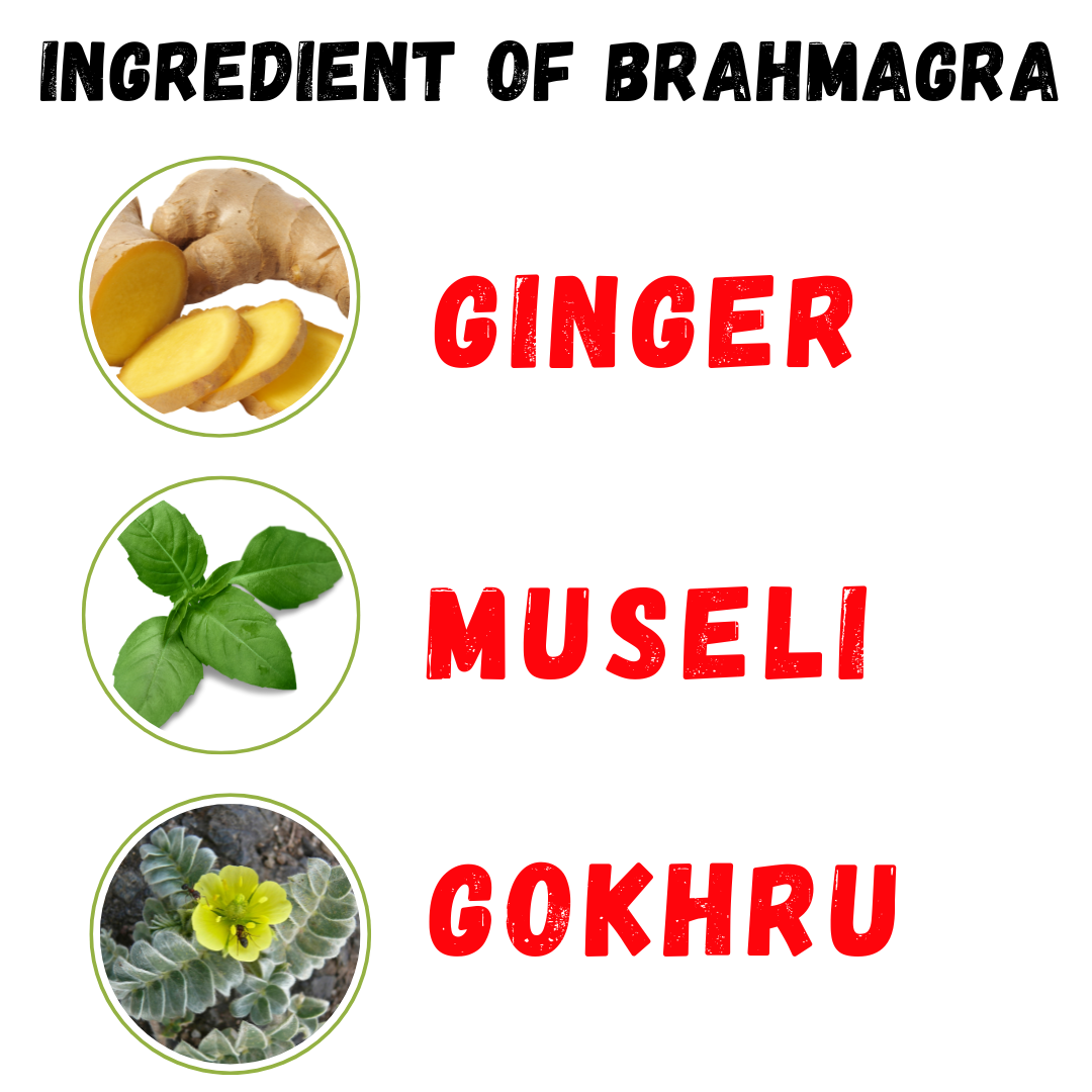 Brahmagra One